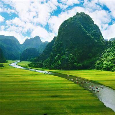 圣手医仙